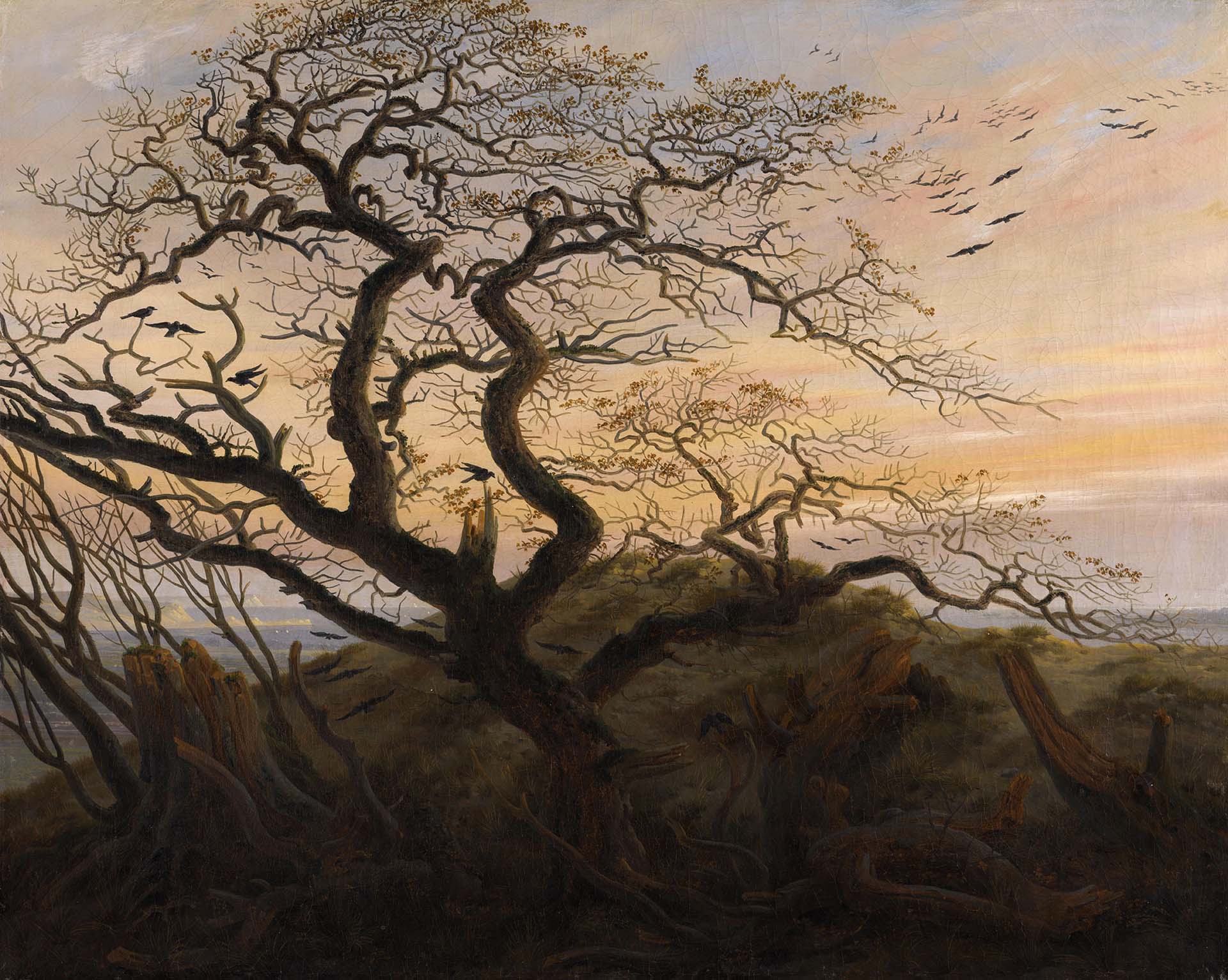 “L’Arbre Aux Corbeaux” de Caspar David Friedrich