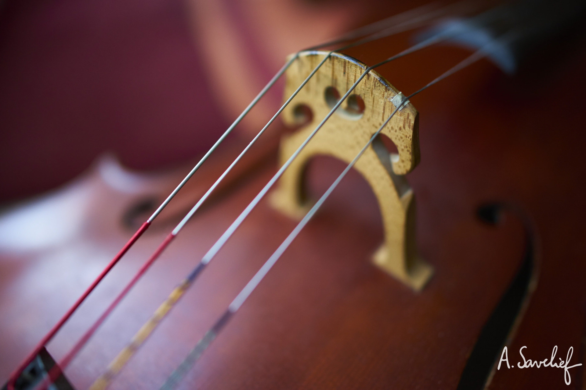 cordes et chevalet de violoncelle, haubans stylisés