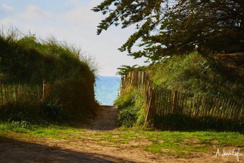 Vers la plage, de la lande à la mer, petit sentier menant vers la mer, sur le littoral de Bretagne